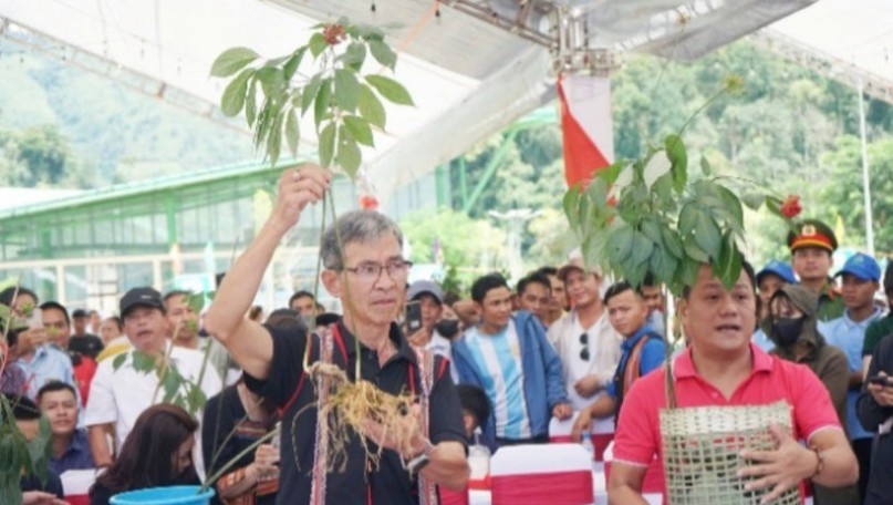 Building medicinal herb industry hub