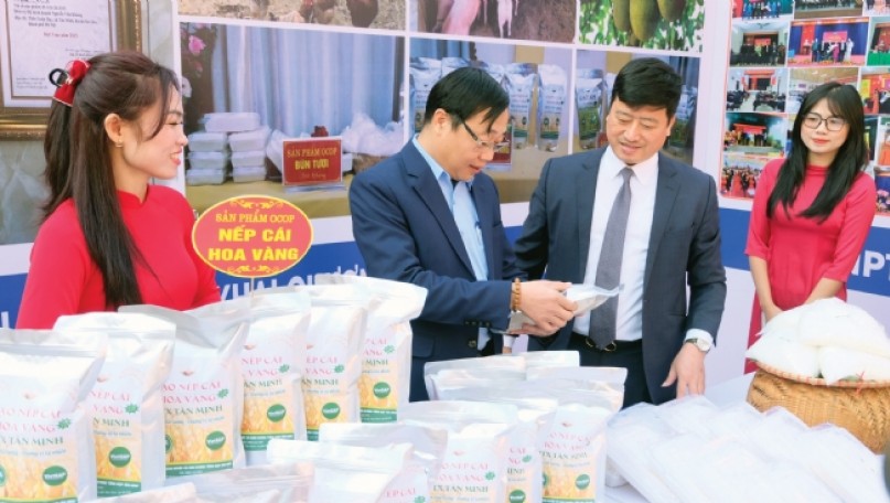 Promoting Organic Agriculture