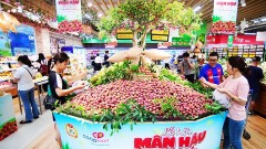 Elevating Vietnamese products with green values