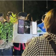 Harnessing potential of night-time tourism in mountainous regions