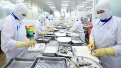 Viet Nam’s agriculture determined to achieve 65 billion USD export target
