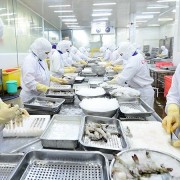 Viet Nam’s agriculture determined to achieve 65 billion USD export target