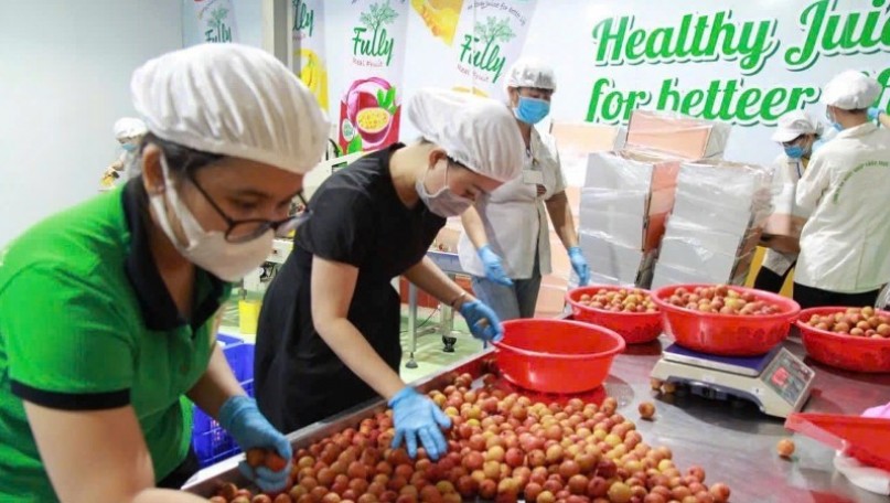 Viet Nam aims to boost competitiveness of seasonal agricultural produce