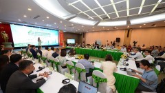 Green logistics: A competitive advantage for Vietnamese businesses to move forward