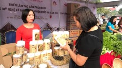 Ha Noi promotes trade following Prime Minister’s Directive No. 18