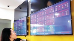 What stocks will "make waves" by year-end?