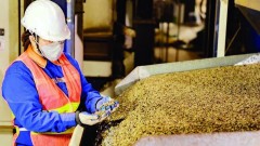 Coffee exports set new record
