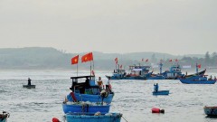 Resolutely removing IUU "yellow card"