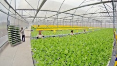 High-tech agriculture brings tangible benefits