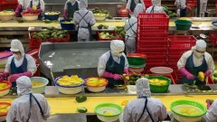 Cooperatives - the "key" to unlock billion-dollar agricultural exports