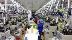 Efforts to guarantee GDP growth target