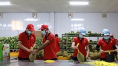 Agricultural exports aim for 70 billion USD