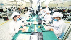 Viet Nam’s economy maintains growth momentum