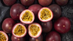 Vietnam sets sights on billion-dollar fruit trade