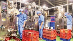 Regional minimum wage increase serves as driving force for development