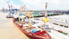 Vietnamese logistics enterprises join the green transition race