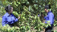 Traceability as tool for brand positioning