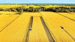 Farming in harmony with nature