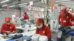 Lever to accelerate exports