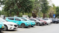 Green solution for urban transport