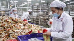 Vietnam strengthens trademark protections as export risks grow