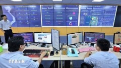 Prioritising development of data resources