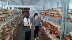 Ho Chi Minh City farmers promote digital transformation in agriculture