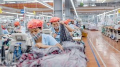 Prospects for&nbsp;MSH shares