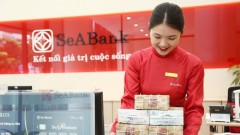 Capital support for SMEs