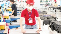 Vietnamese enterprises take proactive measures to respond to new US reciprocal tariffs