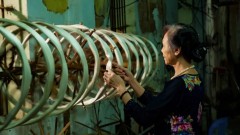 Hanoi urged to sustain traditional crafts through youth involvement