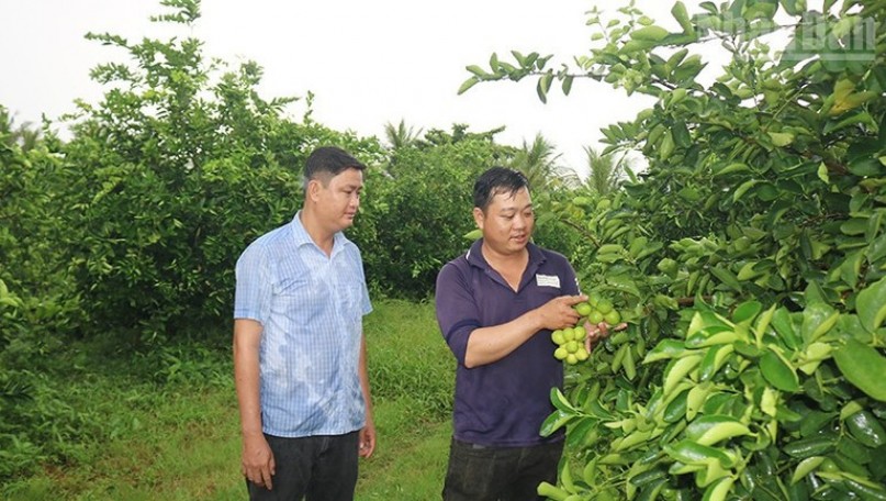 Locality boosts green, clean, environmentally friendly agricultural production