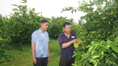 Locality boosts green, clean, environmentally friendly agricultural production