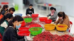 Positive developments highlight Viet Nam’s labour market in early 2025
