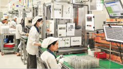 The workforce amid a technological wave