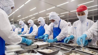 Viet Nam’s seafood exports expected to reach 9.2 billion USD in 2025