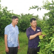 Locality boosts green, clean, environmentally friendly agricultural production