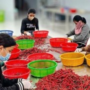 Positive developments highlight Viet Nam’s labour market in early 2025