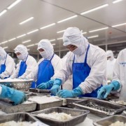 Viet Nam’s seafood exports expected to reach 9.2 billion USD in 2025