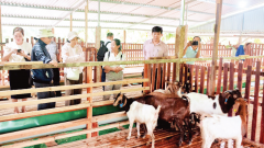 Climate-adapted livestock sector&nbsp;linked to eco-tourism