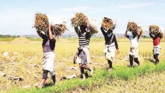 Angola - potential market for Vietnamese enterprises