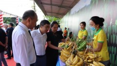 Boosting agricultural exports to Japan