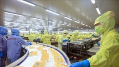 Vietnamese businesses flexibly adapt to modified tariff rates