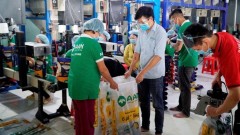 Expectations for&nbsp;rice exports to new markets