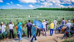 Can Tho taps into ecotourism potential