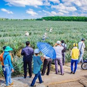 Can Tho taps into ecotourism potential