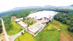 Circular Agriculture: From Policy to Action