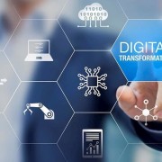 Implementation of digital transformation assessment index in the finance sector