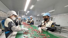 Making the private sector&nbsp;the most important driver of the Vietnamese economy