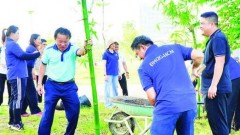 Unleashing the potential of Vietnamese bamboo